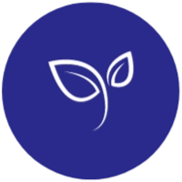 leaf blue